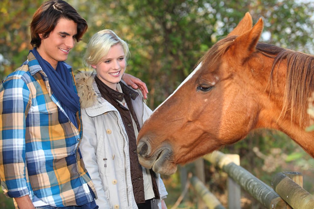 pareja mirando caballo